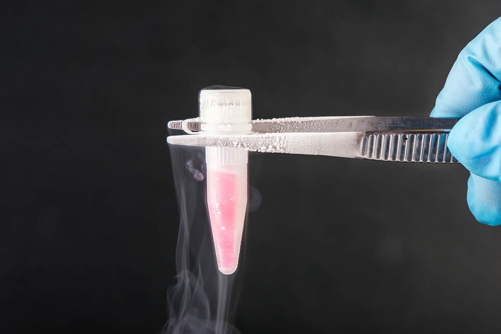 Assisted Reproductive Technology Law at NicholsonPham | Durham LGBT, Family Law, Adoption & Surrogacy