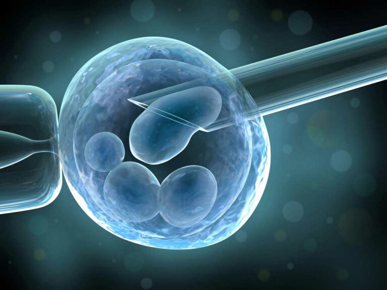 ivf-surrogacy-roe
